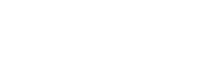 Swiss Standard Trust Bank